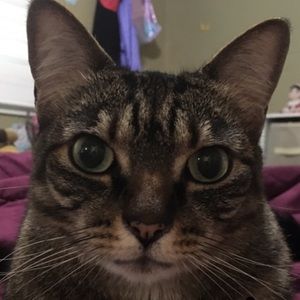 Meet your Posher, Gabbie